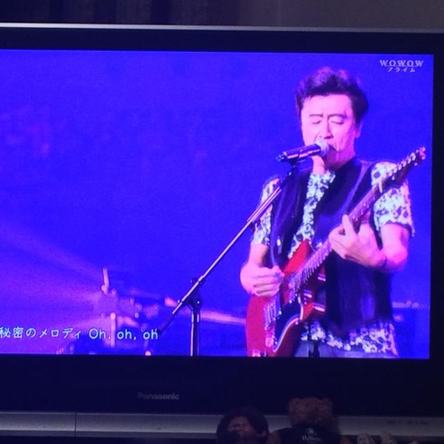 サザンLIVE〜♫♪♪