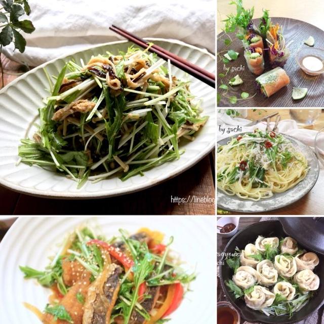 水菜レシピ10選♡