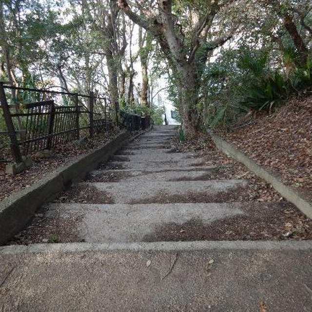 六甲全山縦走路～前半の半分