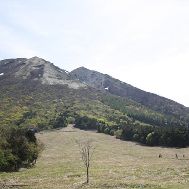 鳥取-大山桝水高原