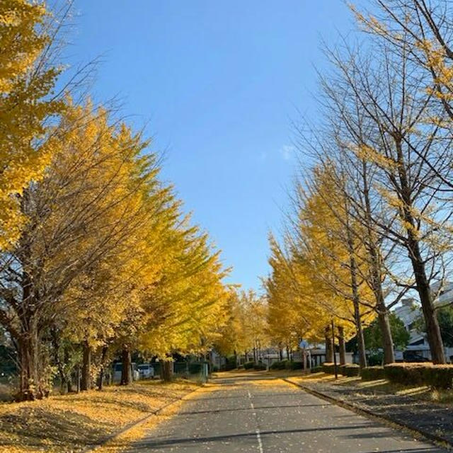 秋の暴風の前に／ 嵐に未来を想う