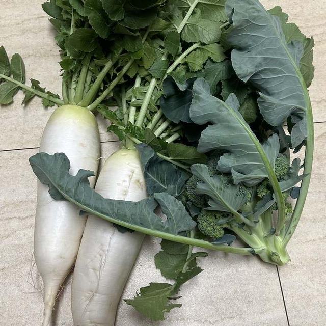大量のお野菜の下処理 from 家庭菜園