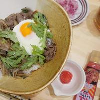 ごぼう入り牛丼、紅しょうがペーストを添えて