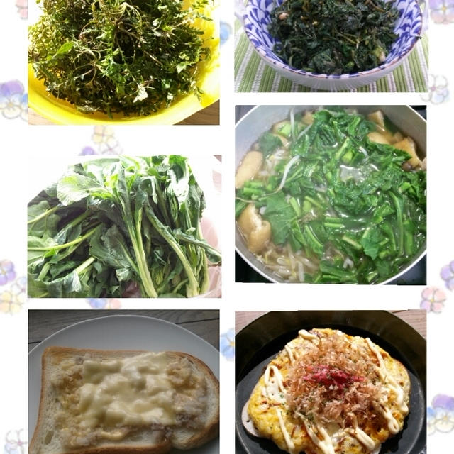 和食or洋食?！花粉症改善