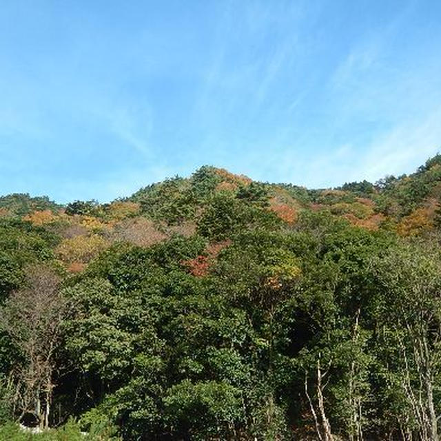 11月なのに雪景色の御在所岳