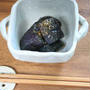 たまには和食　　茄子の揚げ浸し
