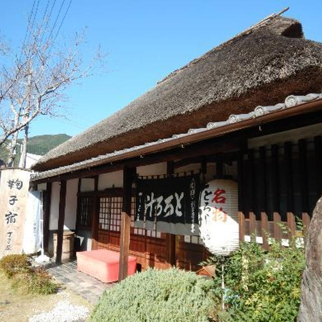 とろろ汁～丸子宿の名店