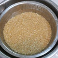 発芽玄米を作ってみる。