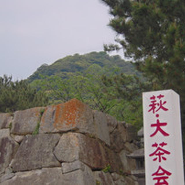 萩・大茶会
