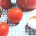 トマトの塩漬け 名付けて「ソルトマト」の作り方 冷や奴にのせてシンプルに味わう