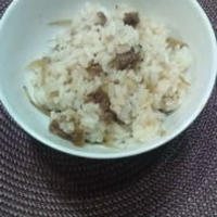 【業務用スーパーの万能調味料を使って】牛ご飯とおまけのきんぴらごぼう