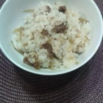 【業務用スーパーの万能調味料を使って】牛ご飯とおまけのきんぴらごぼう