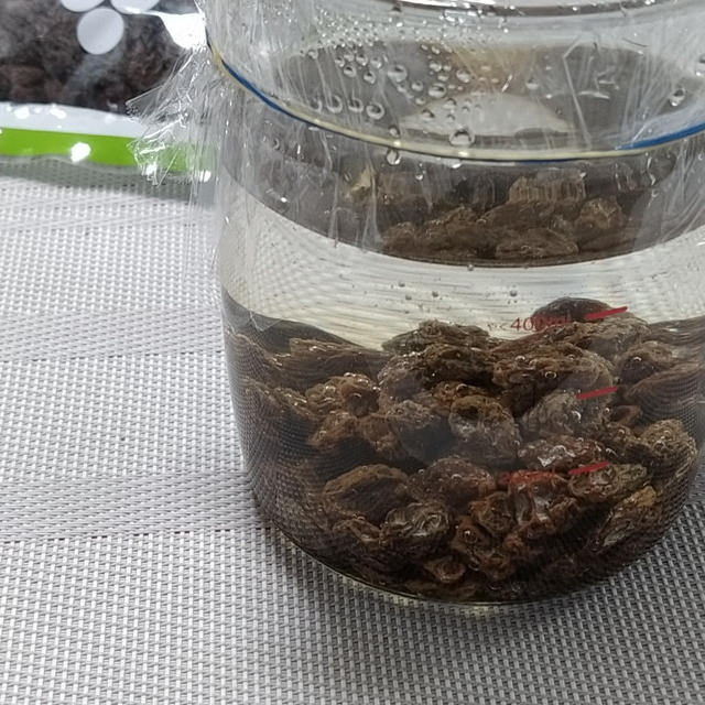 レーズン酵母