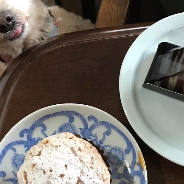 パティスリーのお菓子