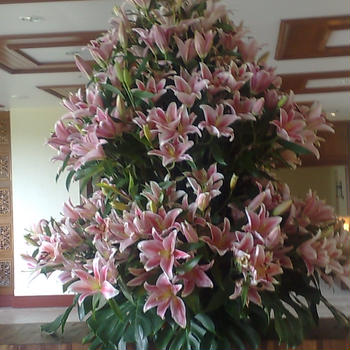 ゆりの花