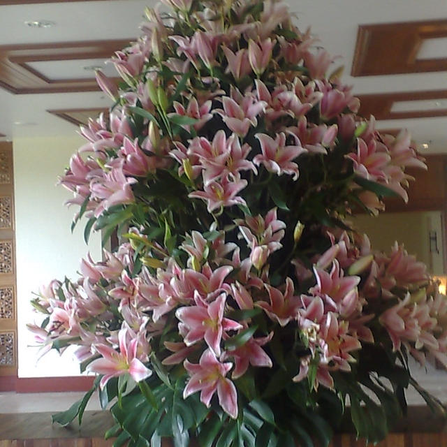 ゆりの花