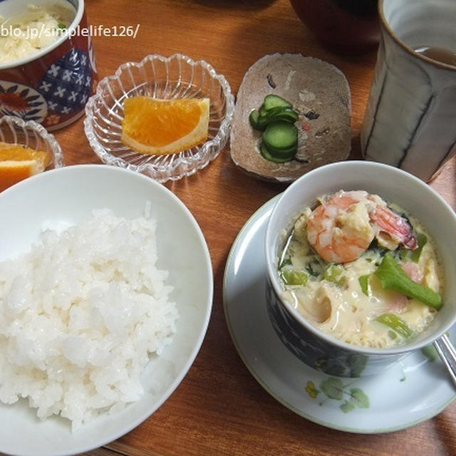 今日もニャーノの家に☆