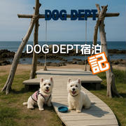 【DOG　DEPT宿泊記】海辺のキャンプ場を大満喫！ウエスティ旅の記録