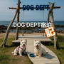 【DOG　DEPT宿泊記】海辺のキャンプ場を大満喫！ウエスティ旅の記録