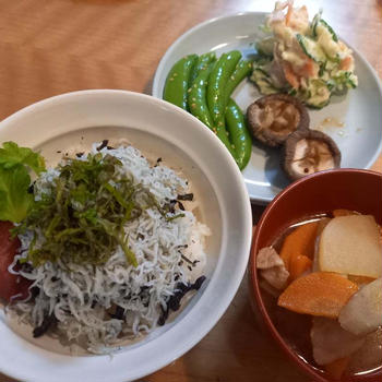 毎日録画で朝ドラあんぱんを。