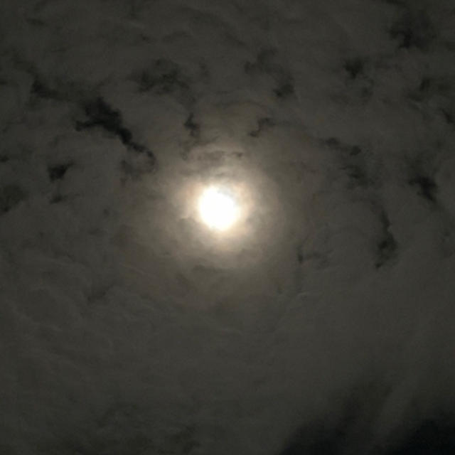 十五夜