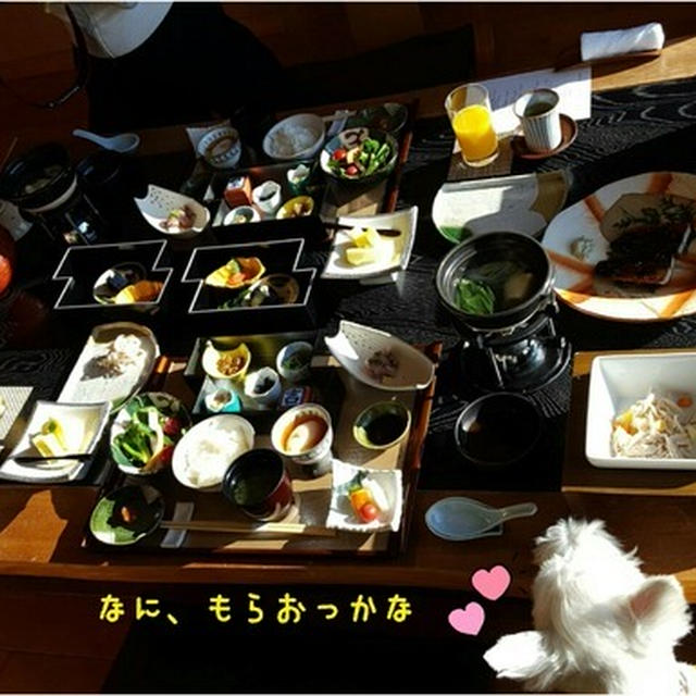 【伊豆旅行】朝ごはん。～ツメば甘くてうまうまにありつけなかった犬～