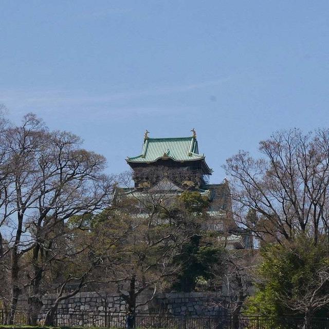 大阪城公園の桜#お花見の風景