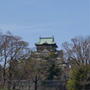 大阪城公園の桜#お花見の風景