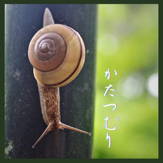 かたつむり