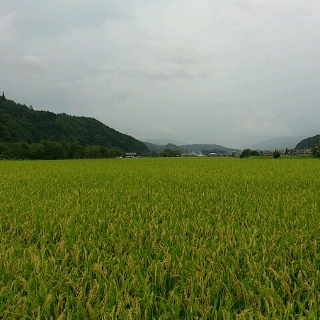 ひるがの高原～たかすファーマーズ～