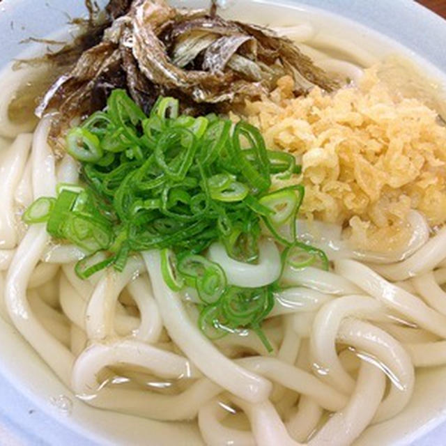 ウイルス性の胃腸炎だそうです