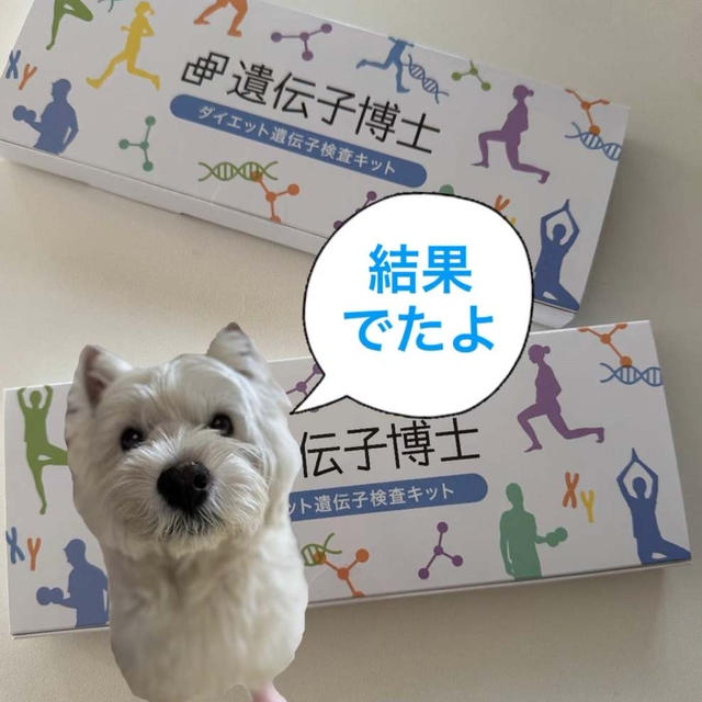 遺伝子博士Diet