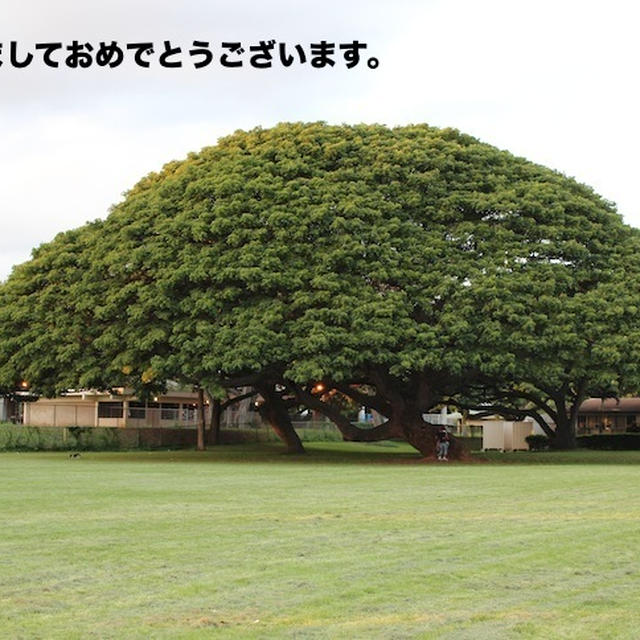 明けましておめでとうございます。