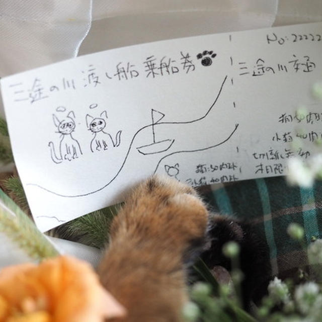 ちび子をお空へ送りました