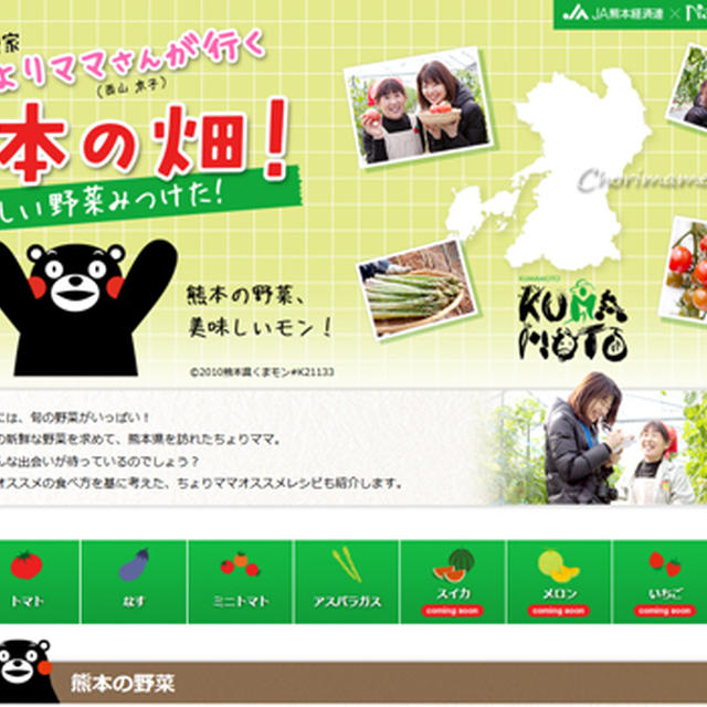 簡単☆熊本野菜で晩ごはん。*「熊本の畑！おいしい野菜みつけた！」START★