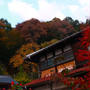 紅葉、ときどき食欲の秋