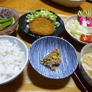 玉ねぎの収穫時期！