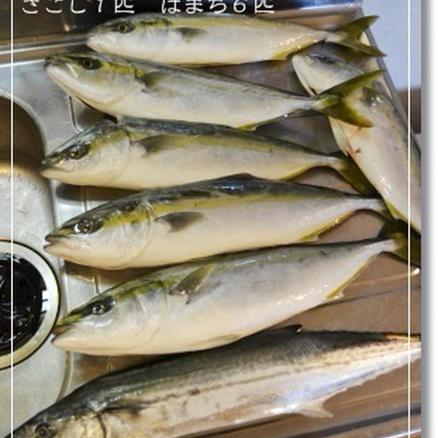 旦那様の釣果【2012.05.02】とダンナ飯