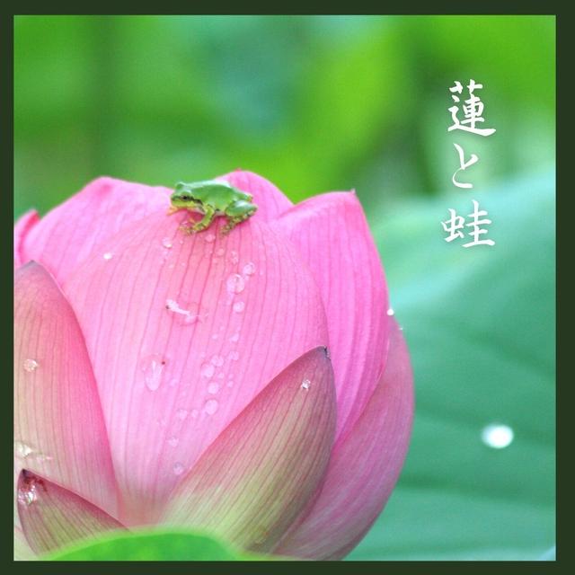 夫婦で胃ガン検診に行きました