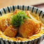 パンガシウスの蒲焼丼　、　初ライトショアジギングに行きます！呼子です。