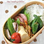 【あおりいかと絹さやの塩炒め弁当】