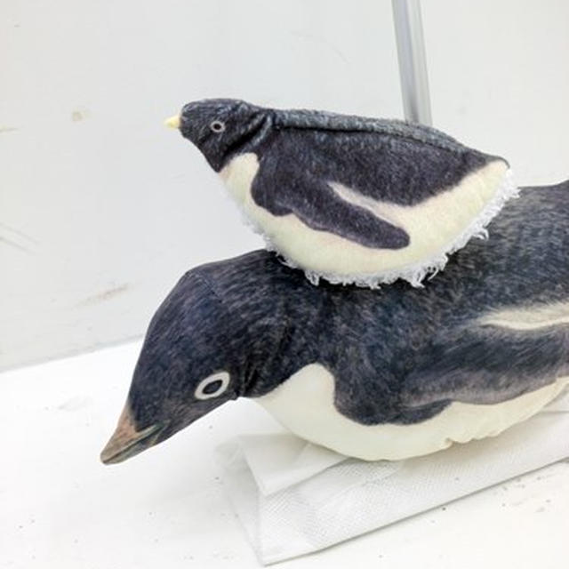 フェリシモの動物シリーズ！ペンギンで床掃除「ペンギンスルスルー」