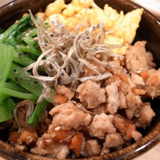 このそぼろうまい！三色そぼろ丼＋一色は子どもに大人気｜川崎市幸区のパパたちと、パパ料理記念撮影