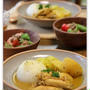 「新」のつく野菜と手羽中でスープカレー