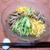 焼豚と山菜を使って・・・