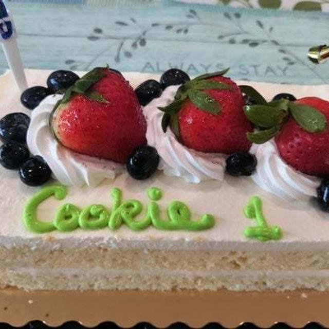 愛犬の旅立ちから１年 ～ Cookie ケーキも食べたよ