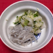 生しらすとかいわれ菜入り大根おろし