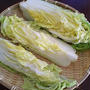 野菜の天日干し