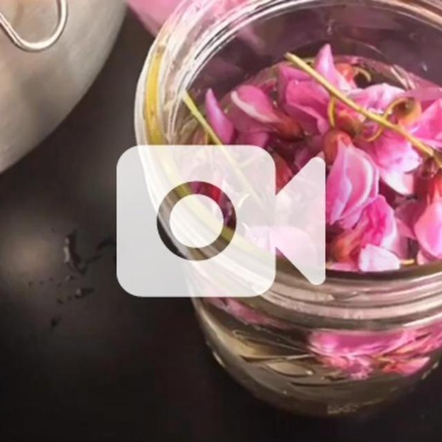 アカシアの花で、酵母をおこし