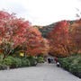 勝尾寺の紅葉#最近撮った写真は